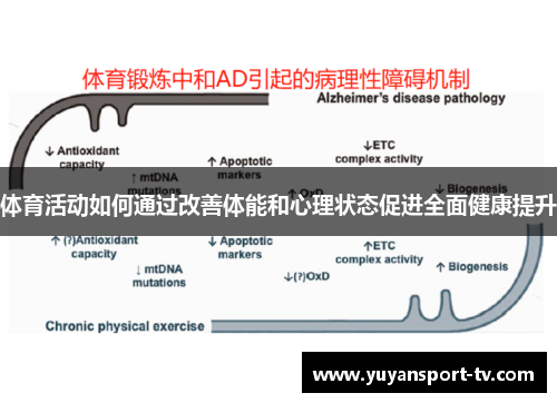 体育活动如何通过改善体能和心理状态促进全面健康提升